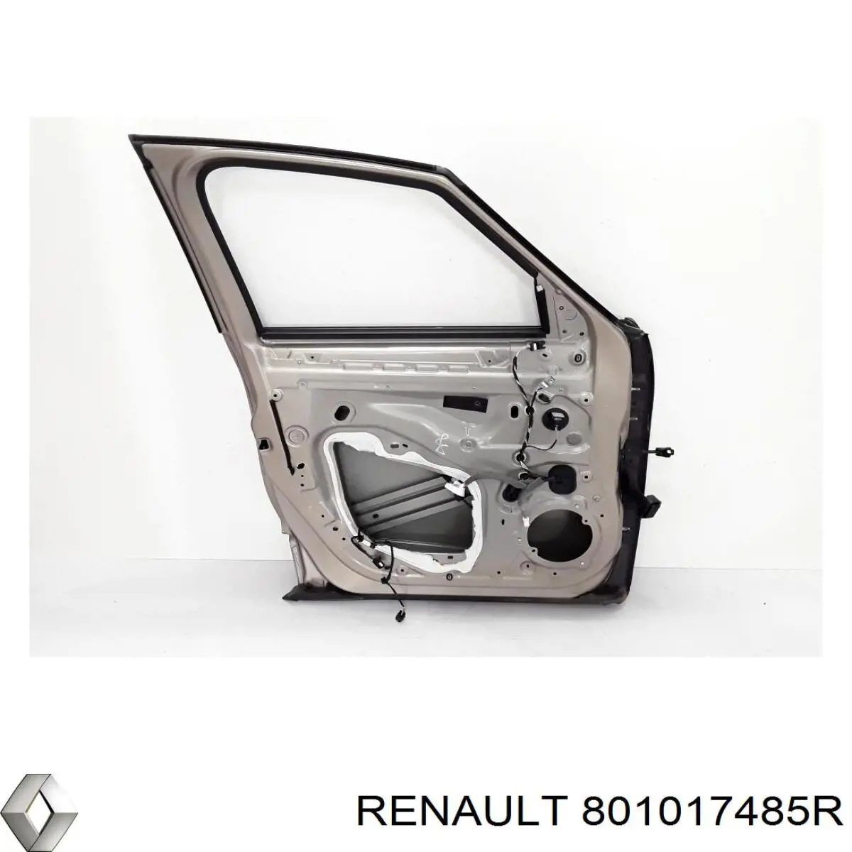 Купити 801017485R Renault (RVI) Двері кабіни