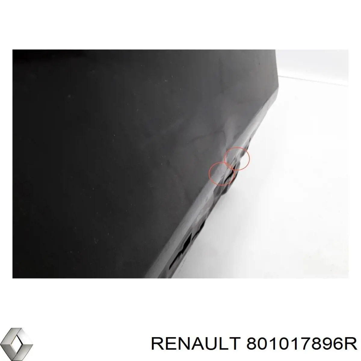 Двері передні ліві 801017896R Renault (RVI)