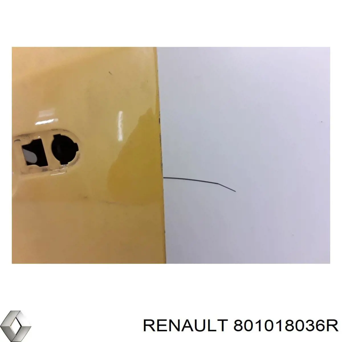 Двері передні, ліві Renault Megane III купе (DZ0, DZ1) (2008 - 2016) ціна, від 228.81 USD