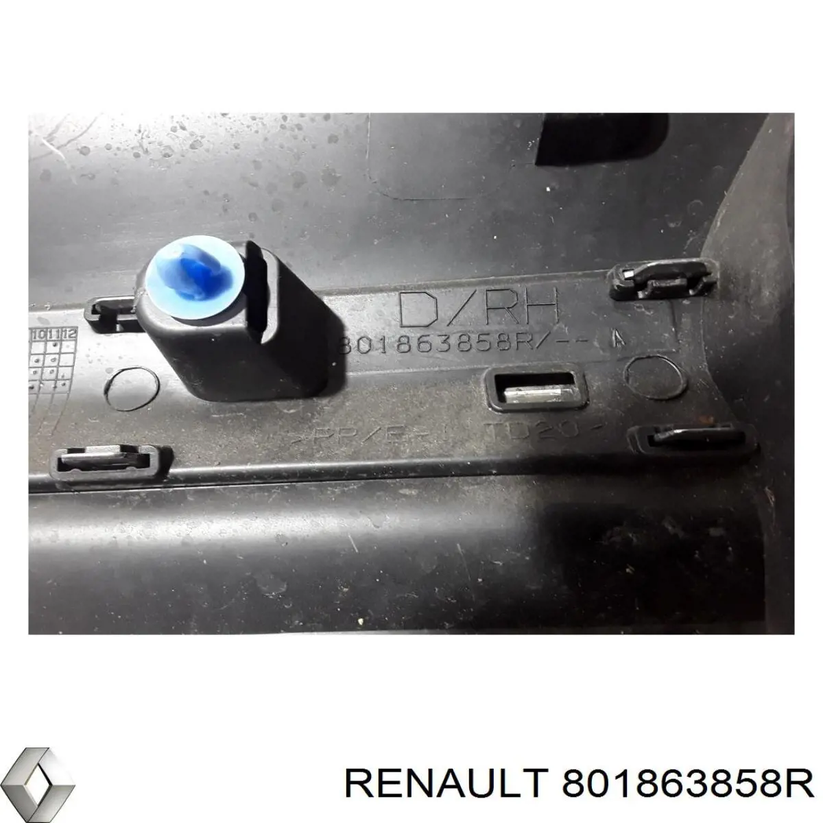 Купити 801863858R Renault (RVI) 