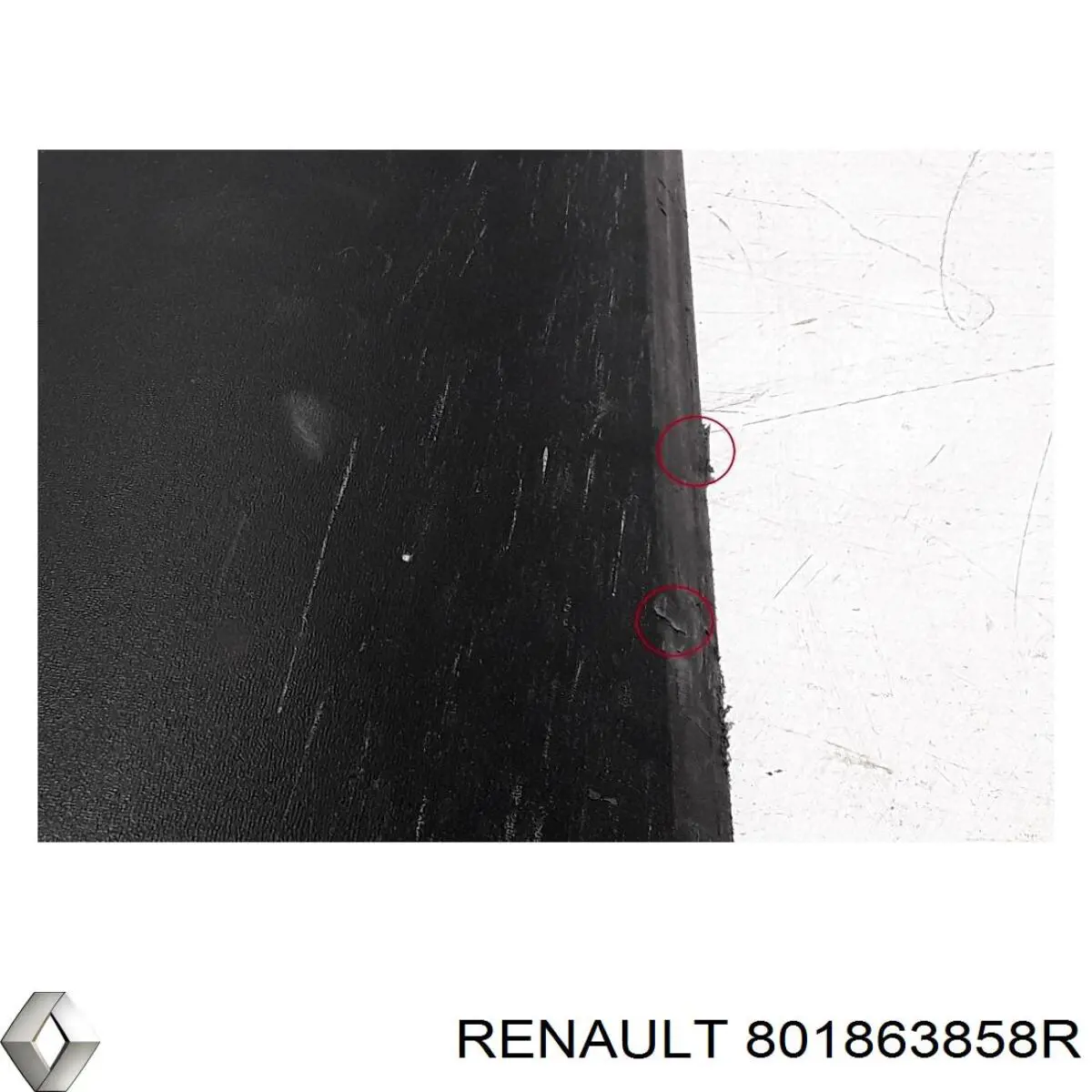 801863858R Renault (RVI) 