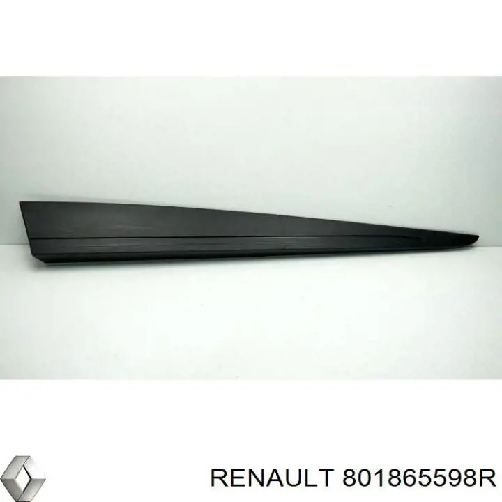 801865598R Renault (RVI) Молдинг передньої правої двері