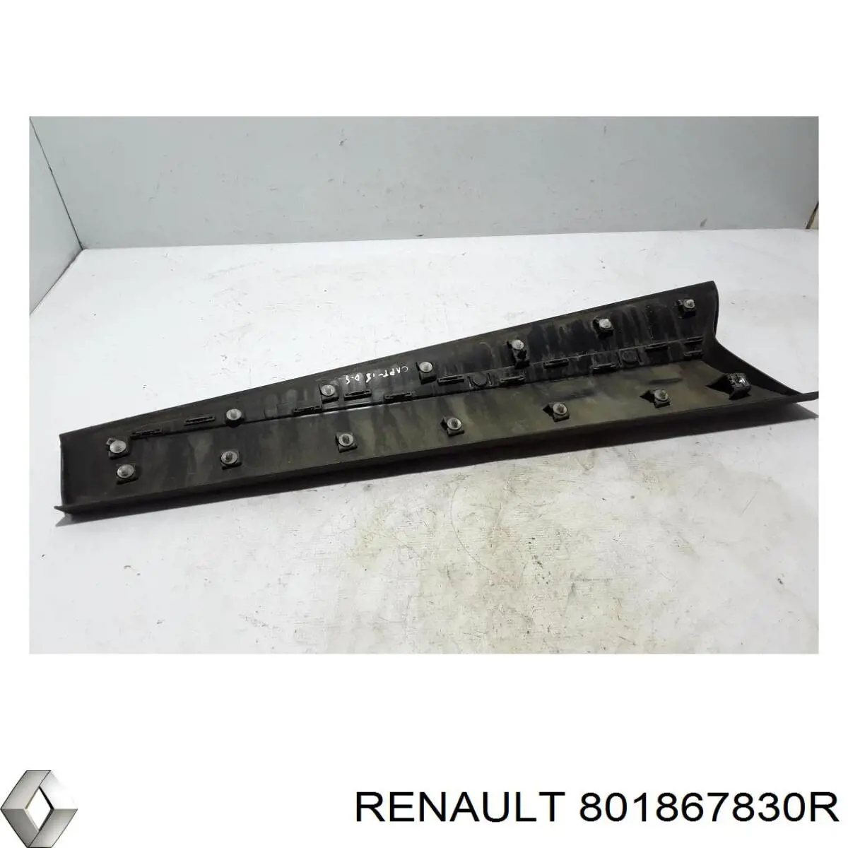 Накладка передньої правої двері Renault (RVI) 801867830R