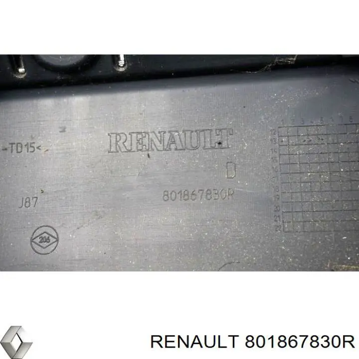 Накладка передньої правої двері Renault (RVI) 801867830R ціна, від 20.27 USD