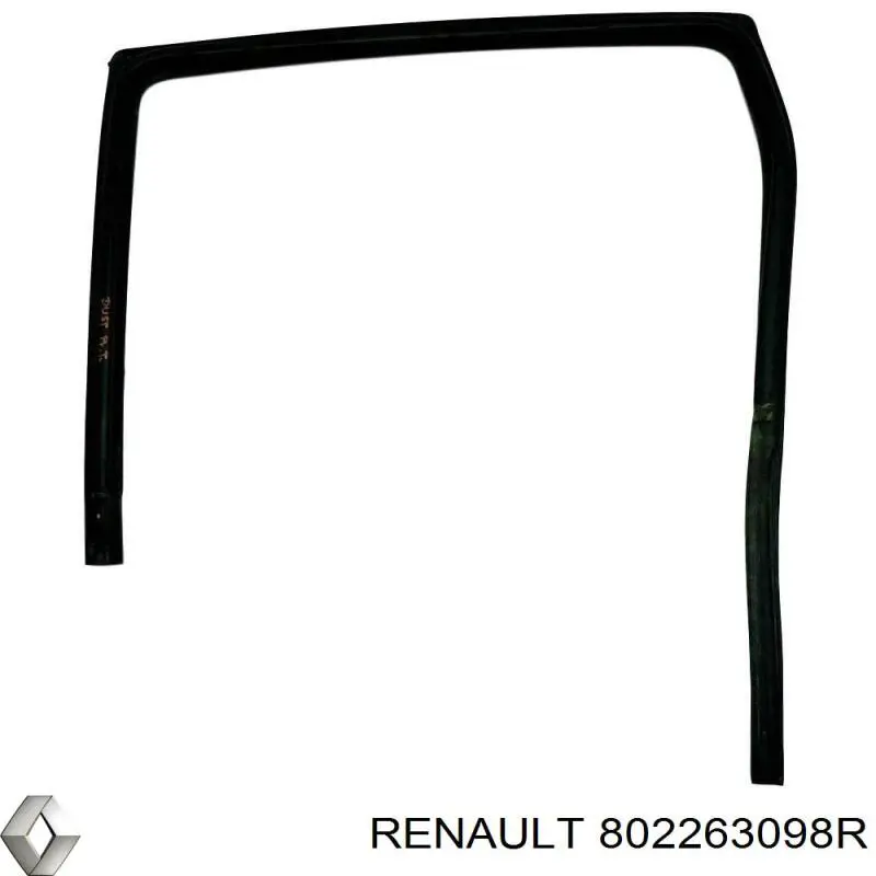 Купити 802263098R Renault (RVI) 