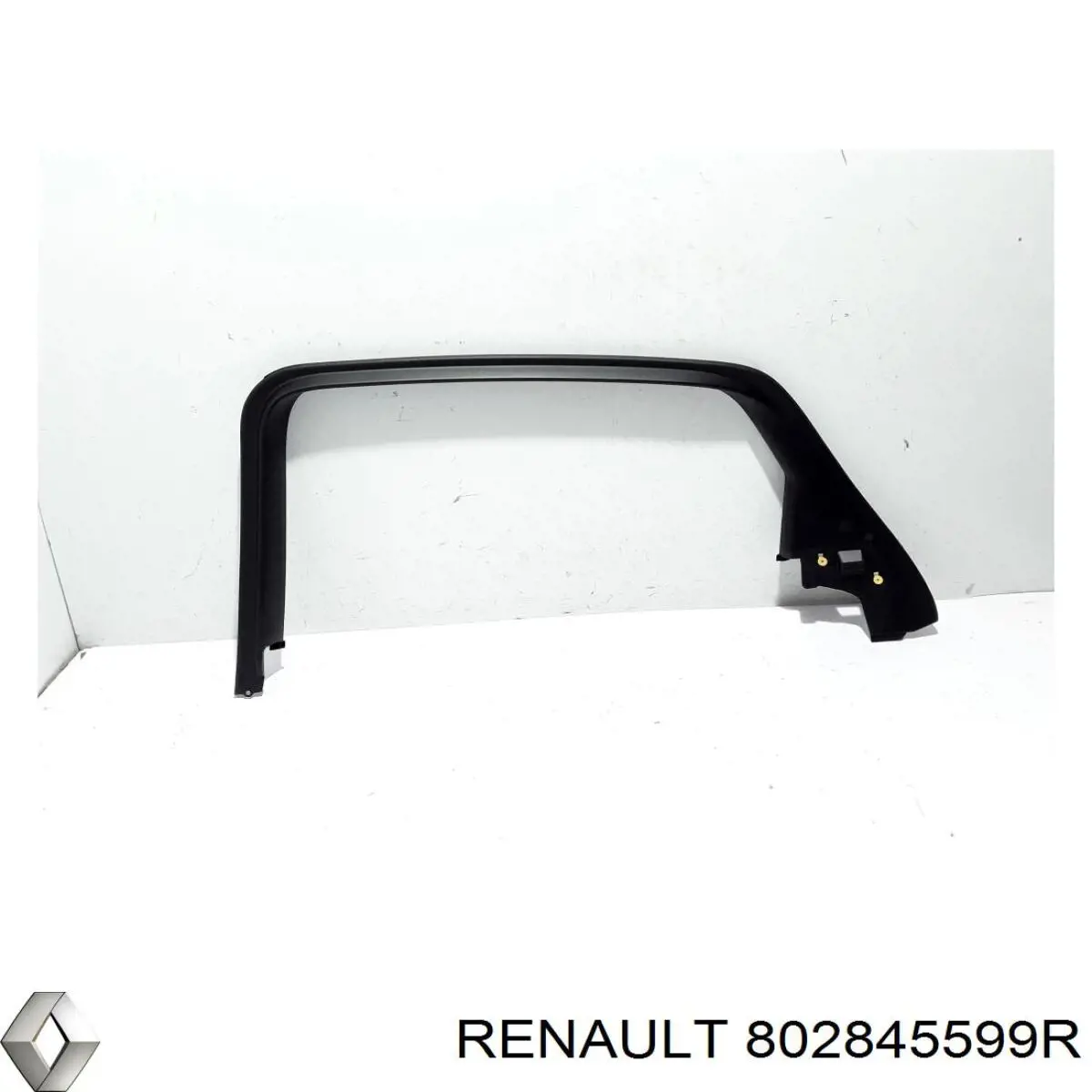 Купити 802845599R Renault (RVI) 