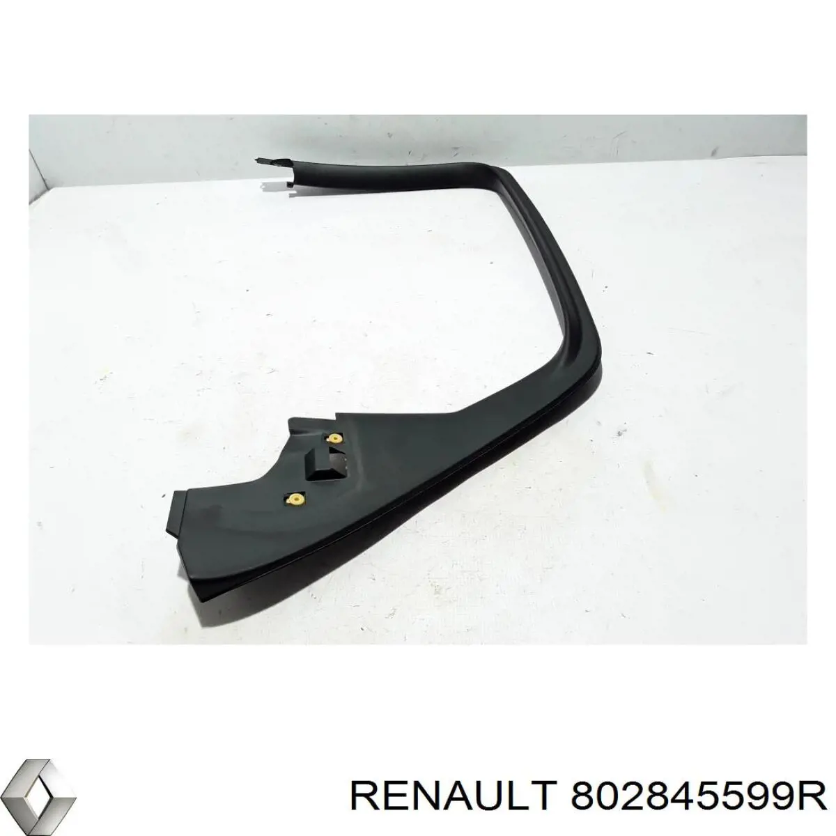 802845599R Renault (RVI) 
