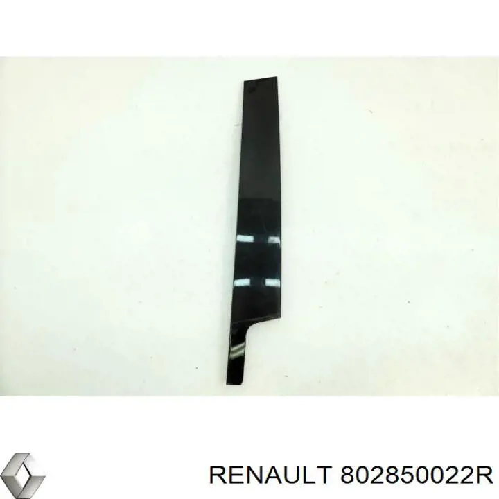 802850022R Renault (RVI) 