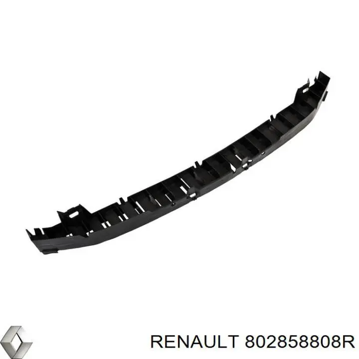  802858808R Renault (RVI)