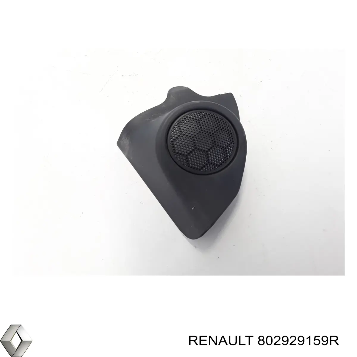 802929159R Renault (RVI) 