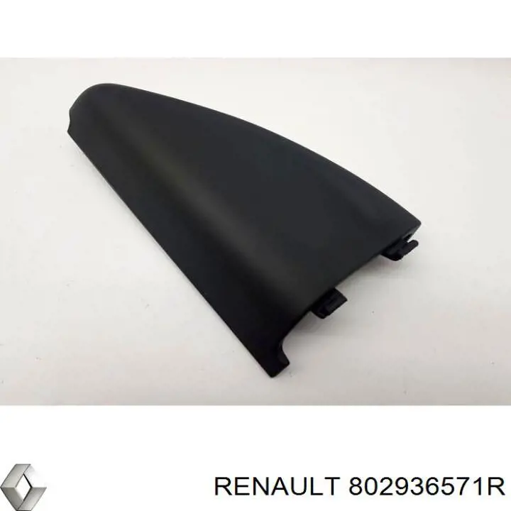  802936571R Renault (RVI)