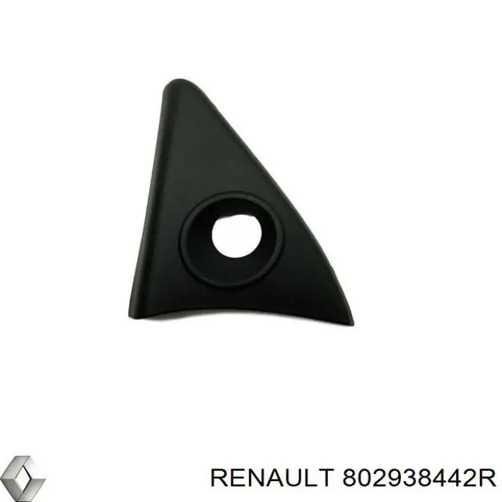 802938442R Renault (RVI) 
