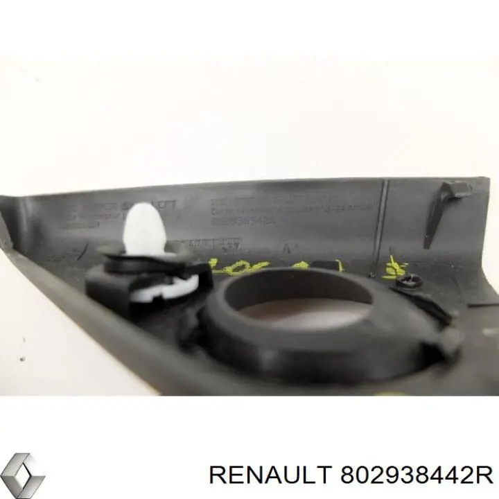 Купити 802938442R Renault (RVI) 