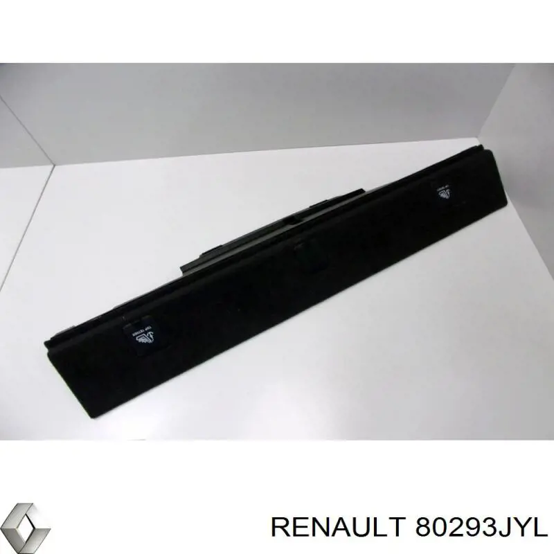  80293JYL Renault (RVI)