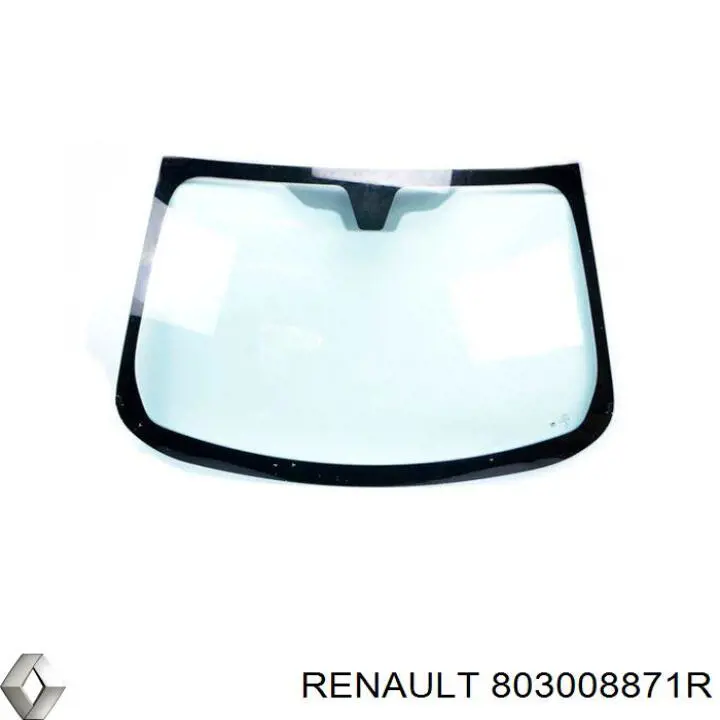  803008871R Renault (RVI)