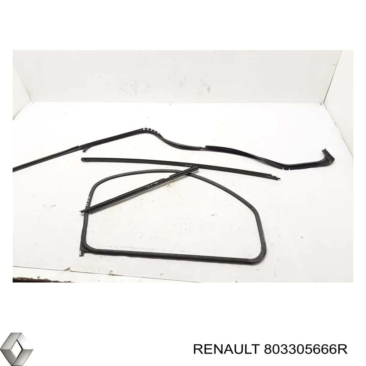 803305666R Renault (RVI) 