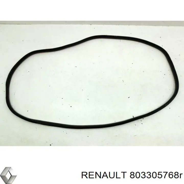  803305768R Renault (RVI)