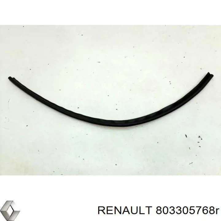 Купити 803305768R Renault (RVI) 