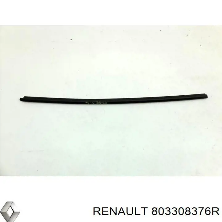  803308376R Renault (RVI)