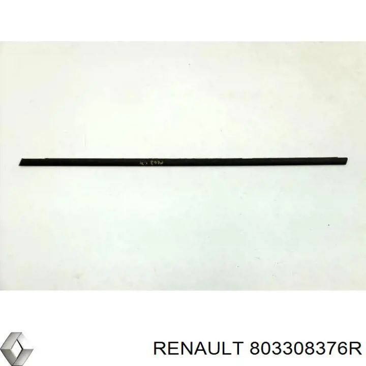  803308376R Renault (RVI)