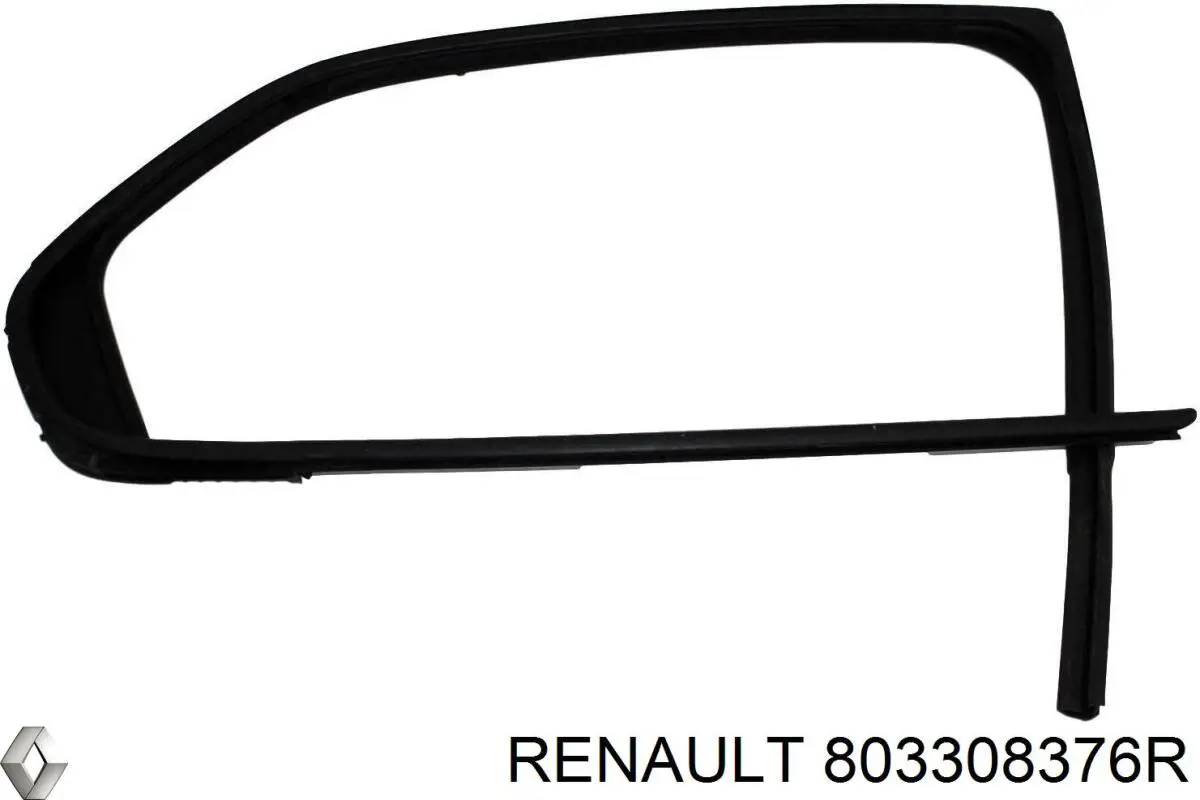  803308376R Renault (RVI)