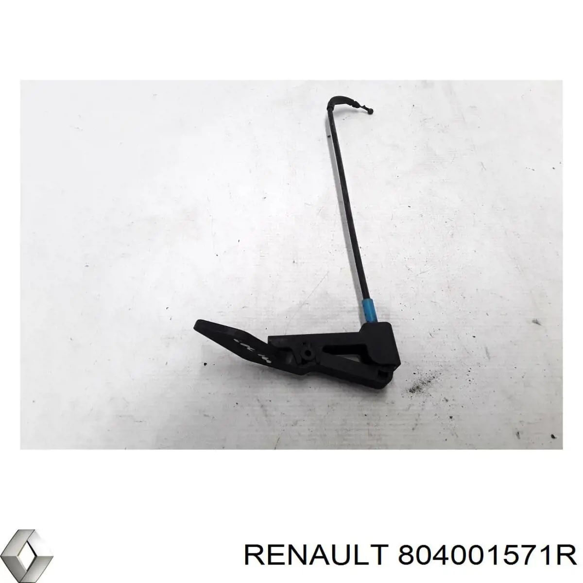 Петля передніх дверей права Renault (RVI) 804001571R ціна, від 15.08 USD