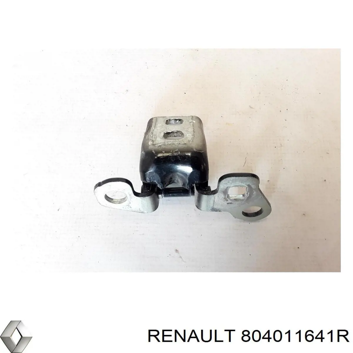 Завіса дверей передных лівих Renault (RVI) 804011641R ціна, від 127.20 USD