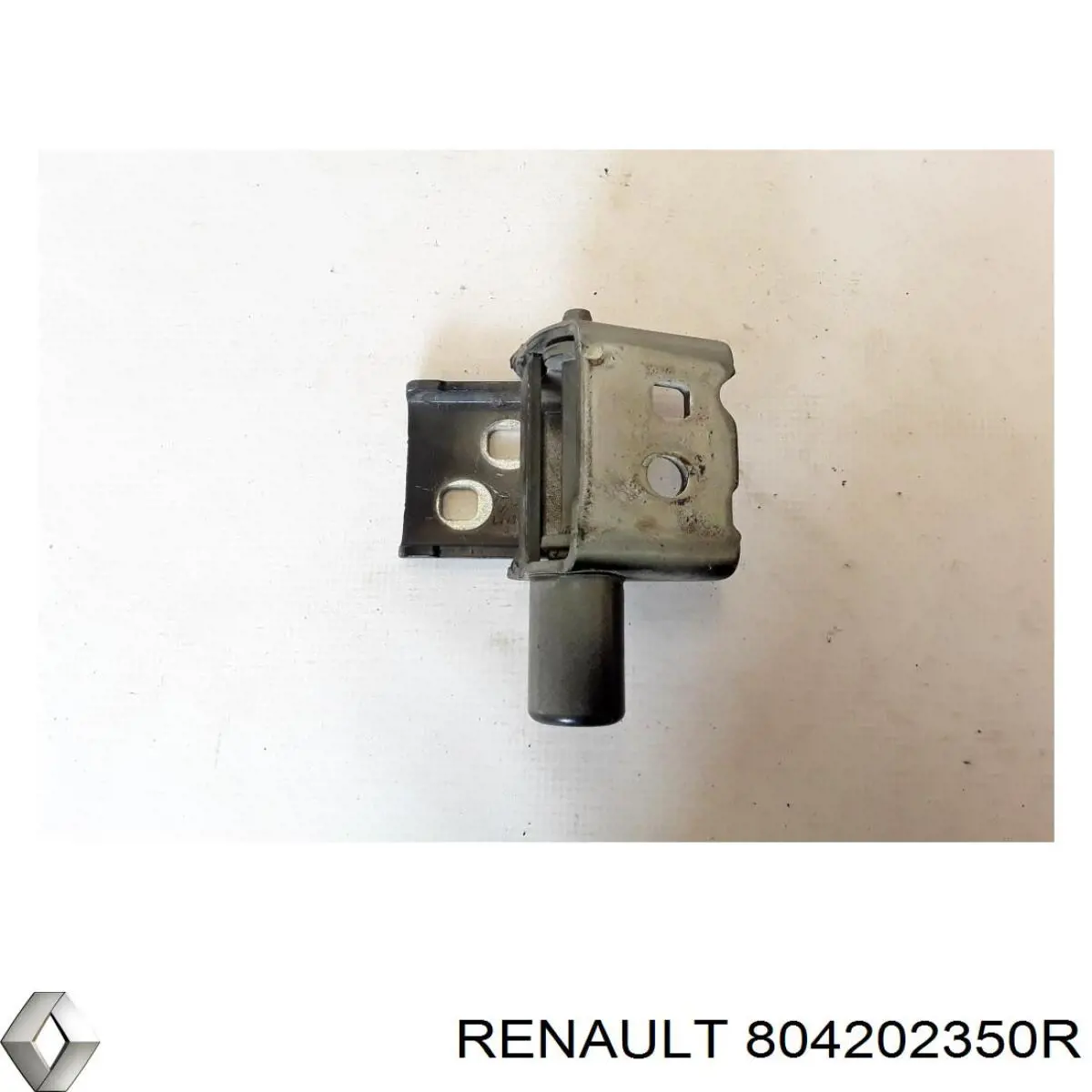 804202350R Renault (RVI) Петля передніх дверей, правою