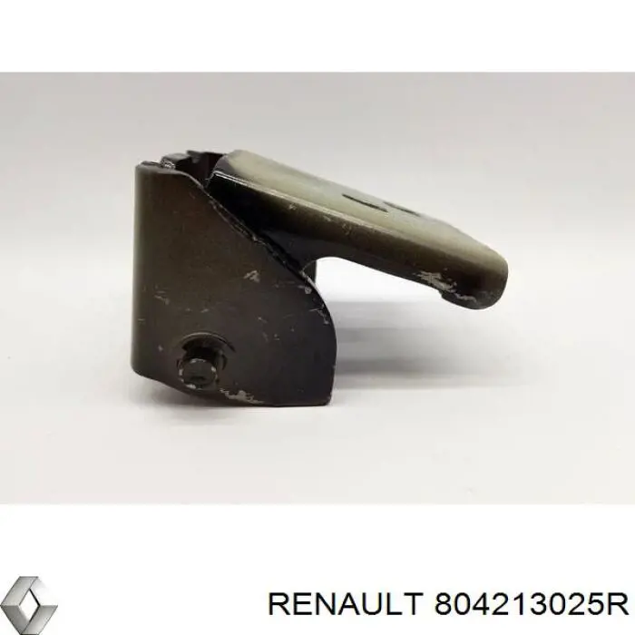 Шарнір передніх лівих дверей Renault (RVI) 804213025R