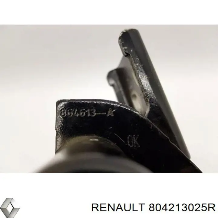 804213025R Renault (RVI) Петля передніх дверей, лівою