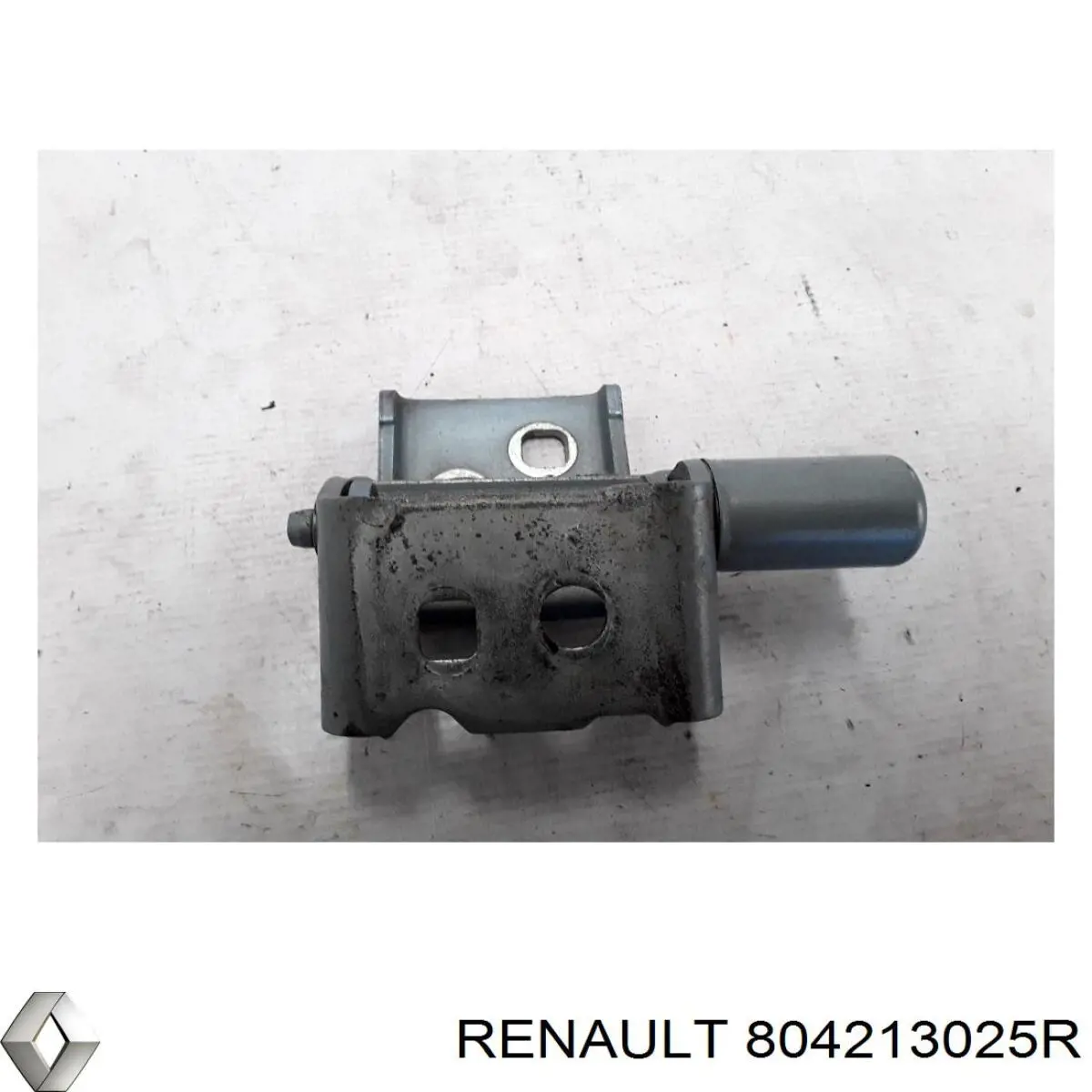Купити 804213025R Renault (RVI) Петля водійських дверей