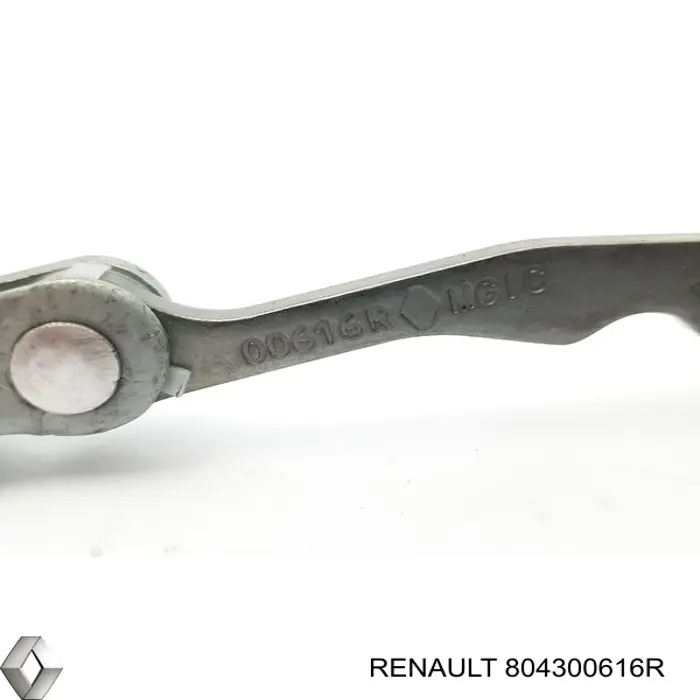 804300616R Renault (RVI) 