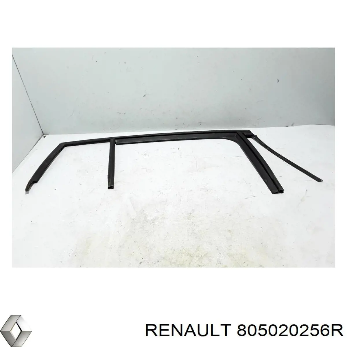 805020256R Renault (RVI) 
