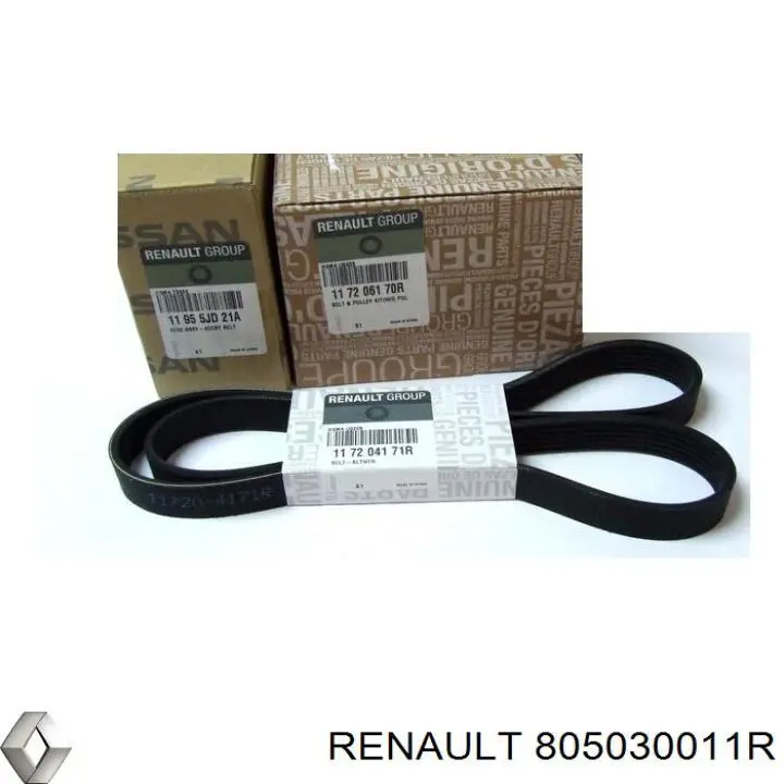 Замок передньої лівої двері 805030011R Renault (RVI)