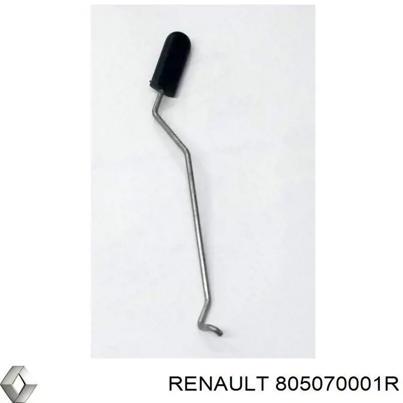  805070001R Renault (RVI)