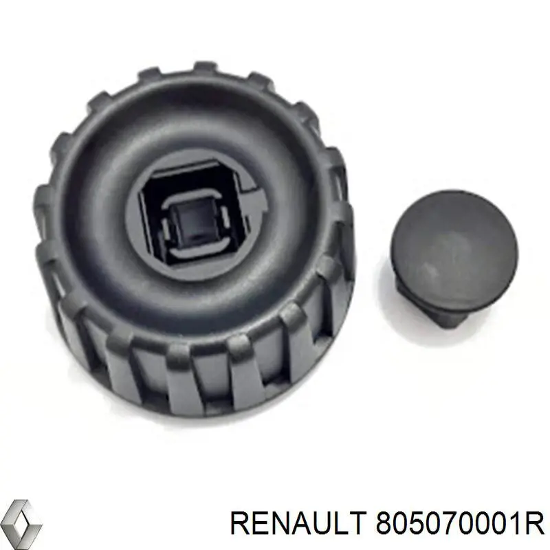 805070001R Renault (RVI) 