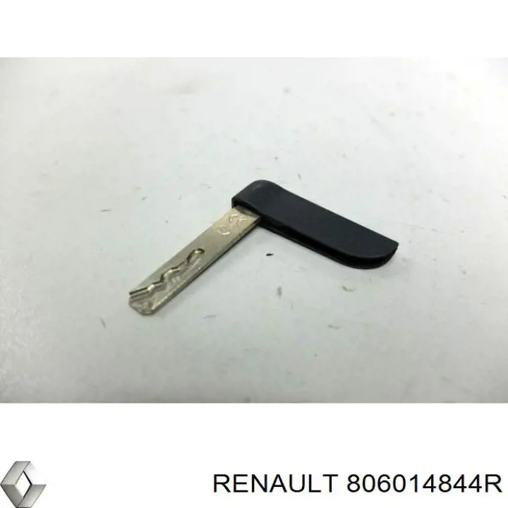  806014844R Renault (RVI)