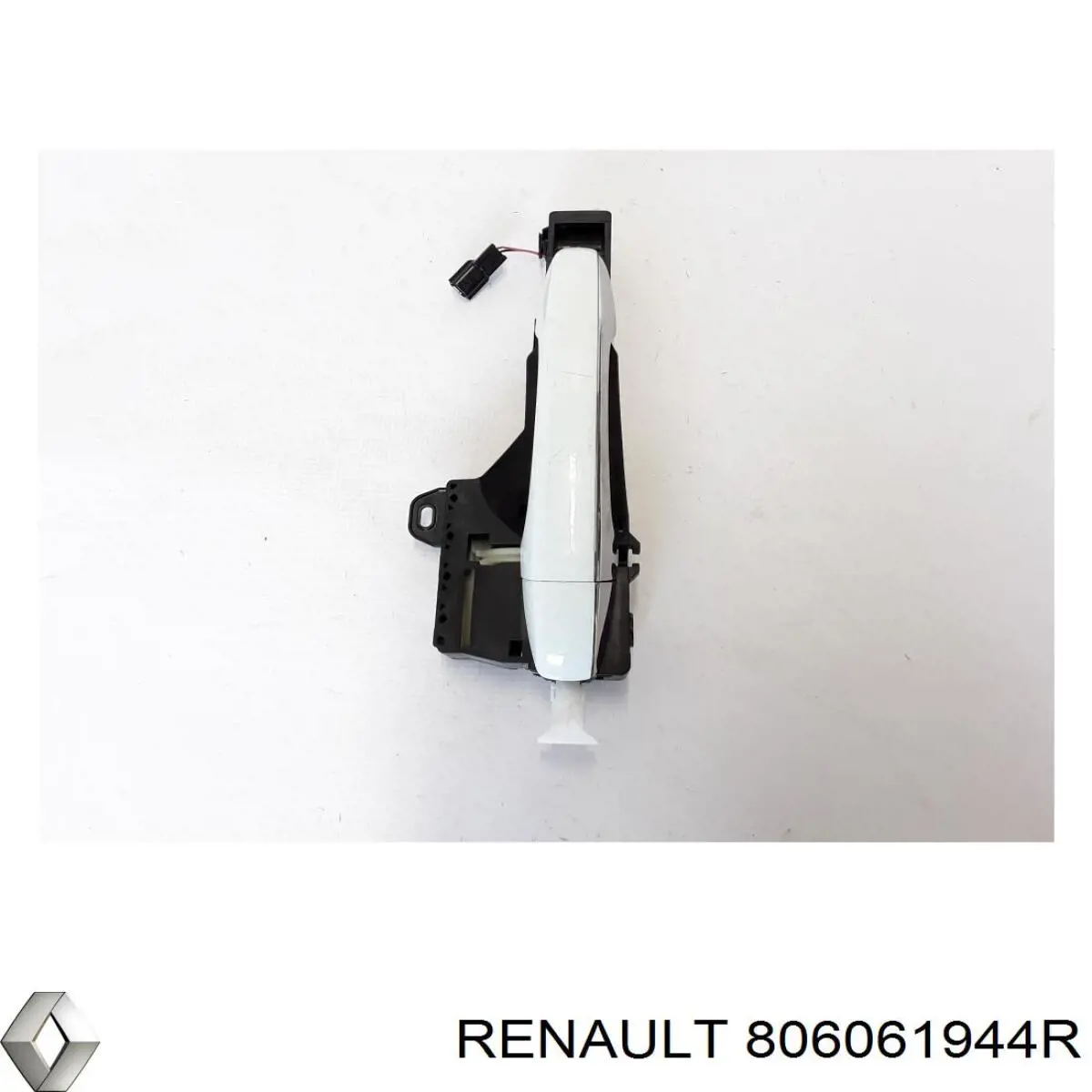  806061944R Renault (RVI)