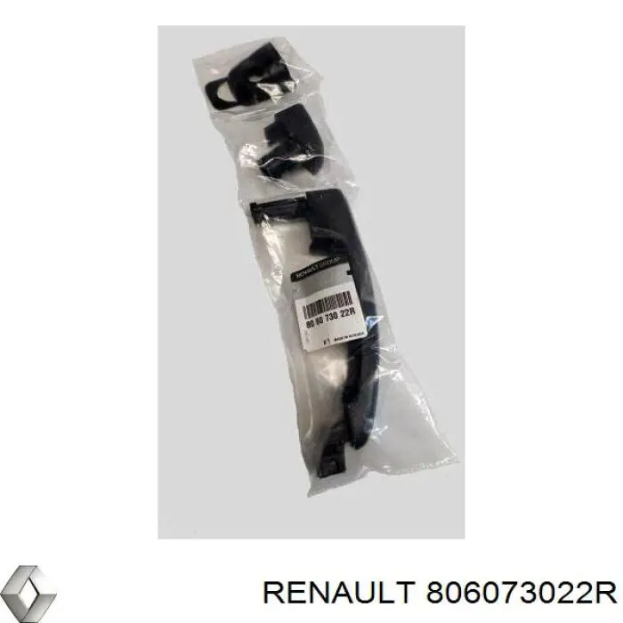 Ручка передньої двері зовнішня 806073022R Renault (RVI)