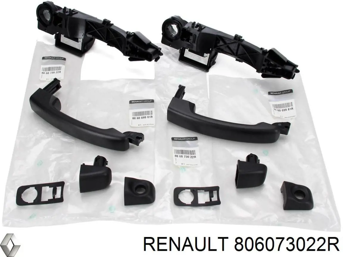 Ручка передньої двері зовнішня Renault (RVI) 806073022R