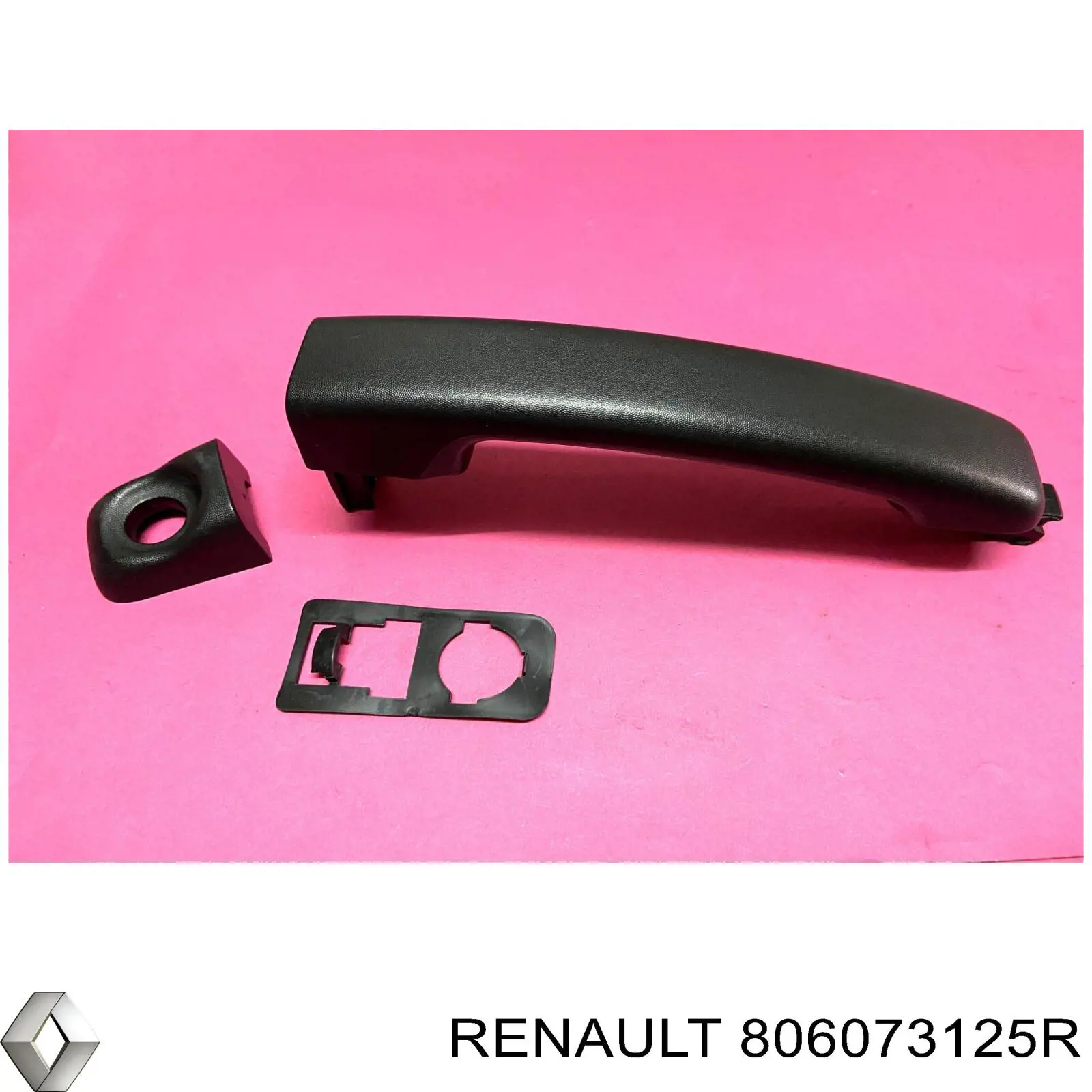 Ручка передньої двері зовнішня ліва Renault (RVI) 806073125R ціна, від 66.69 USD