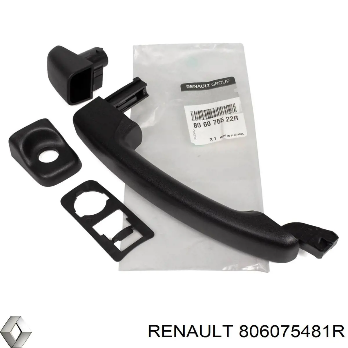 806075481R Renault (RVI) Тримач зовнішньої ручки дверей, передньої лівої