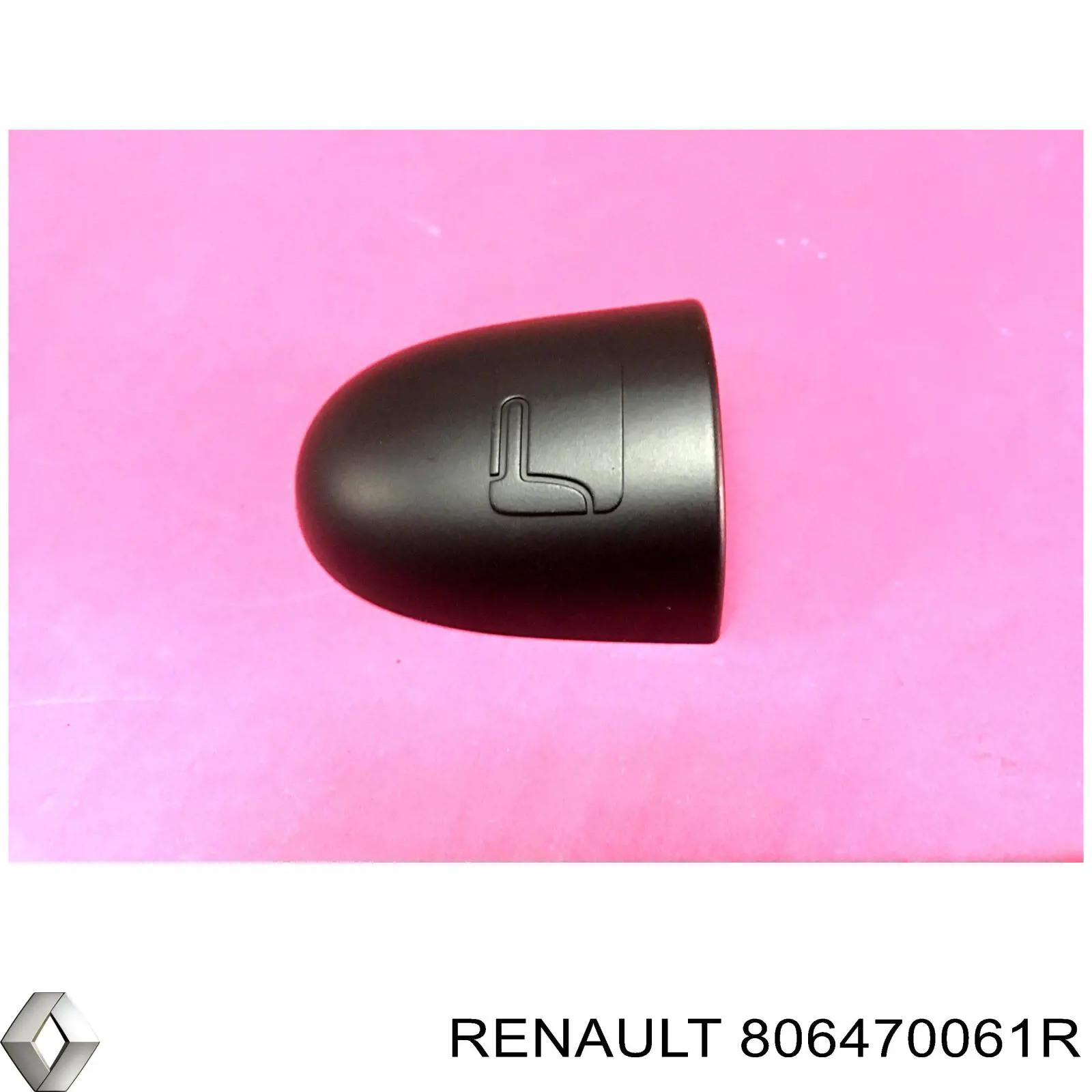Накладка ручки дверей Renault Scenic 3 (JZ0) (Рено Сценік)