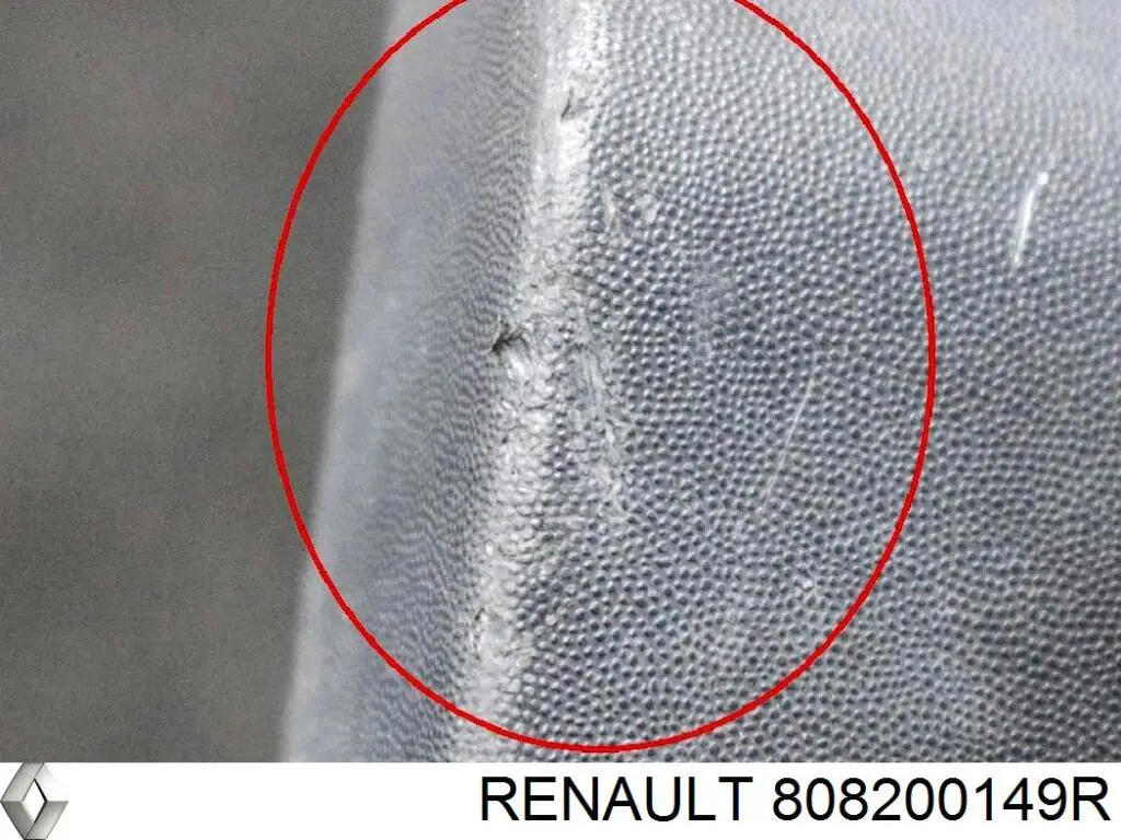 Молдинг передньої правої двері 808200149R Renault (RVI)