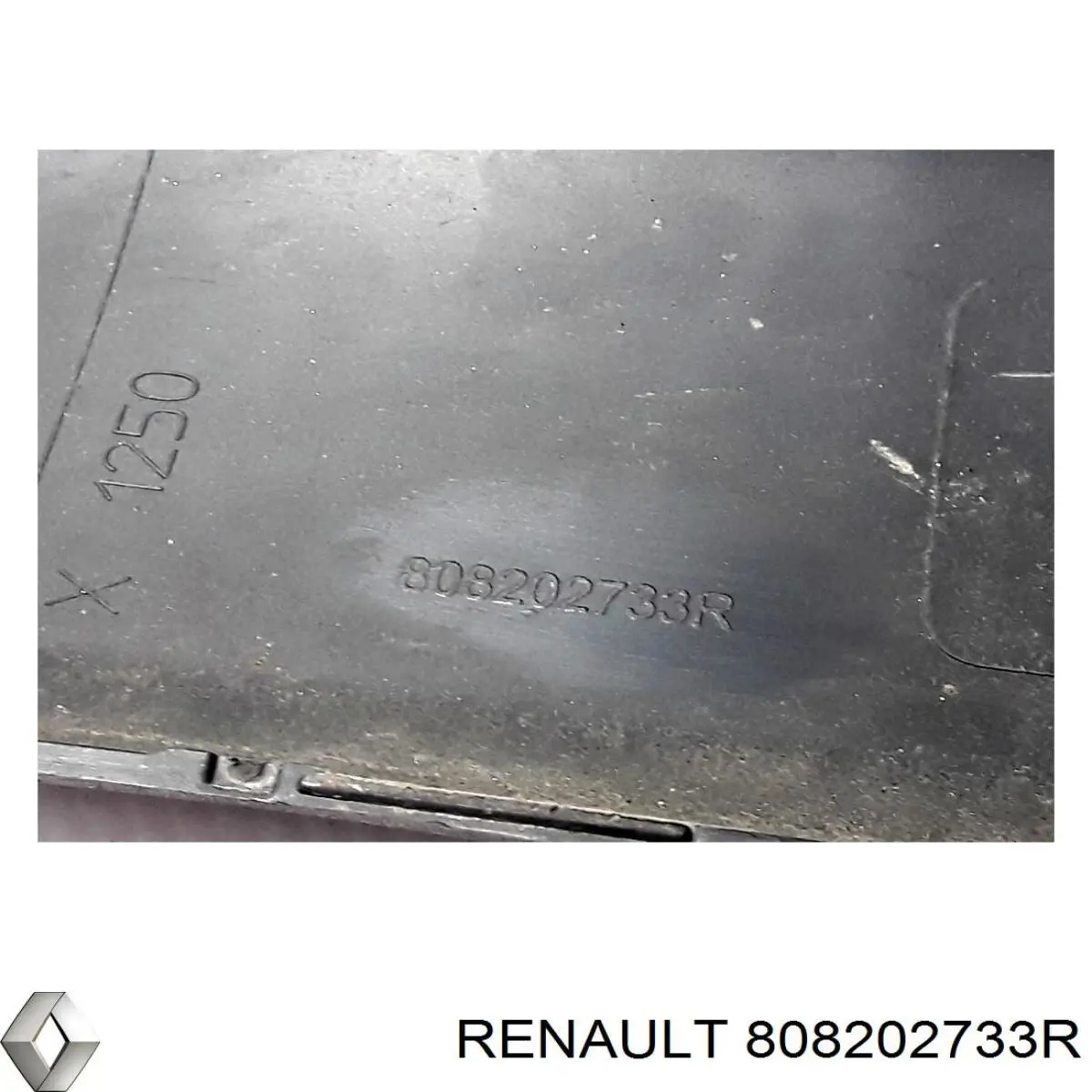 Молдинг передньої правої двері Renault (RVI) 808202733R ціна, від 8.48 USD