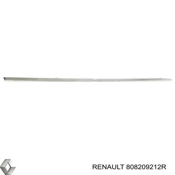 Молдинг передньої правої двері Renault (RVI) 808209212R ціна, від 25.72 USD
