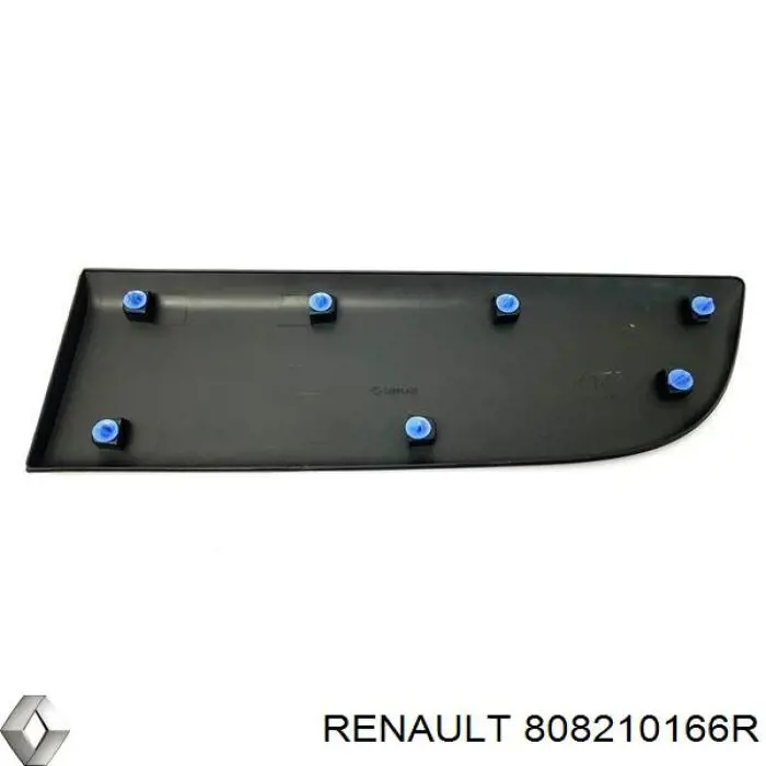 Молдинг передньої лівої двері, нижній Renault (RVI) 808210166R ціна, від 18.91 USD