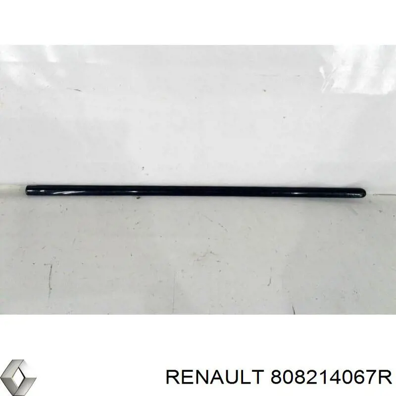 Молдинг передньої лівої двері Renault (RVI) 8200748296 ціна, від 47.30 USD