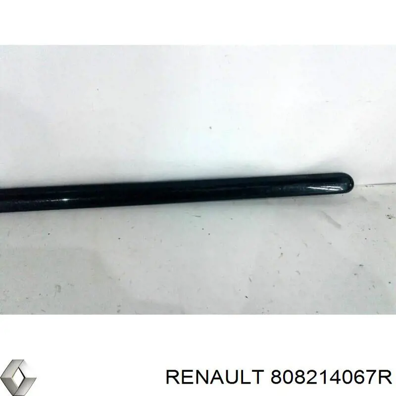 8200748296 Renault (RVI) Молдинг передніх лівих дверей