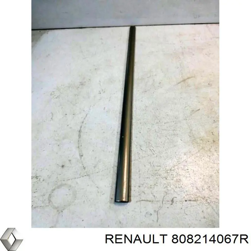 Молдинг передньої лівої двері 8200748296 Renault (RVI)